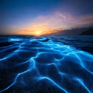 AI-genererad mareld – Milky Seas-effekt skapad med Adobe Firefly
