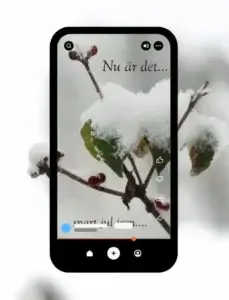 privat projekt julfilm av Anna E Johansson
