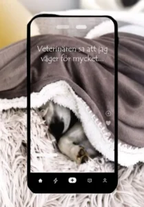projekt skapa video med valfritt varumarke genom annaejohansson